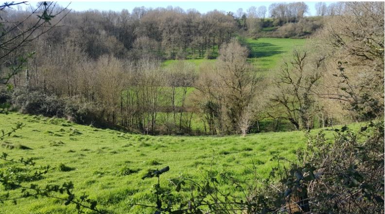 Randonnée : Boucle de la vallée du Chambon et de la carrière de Donia., Saivres