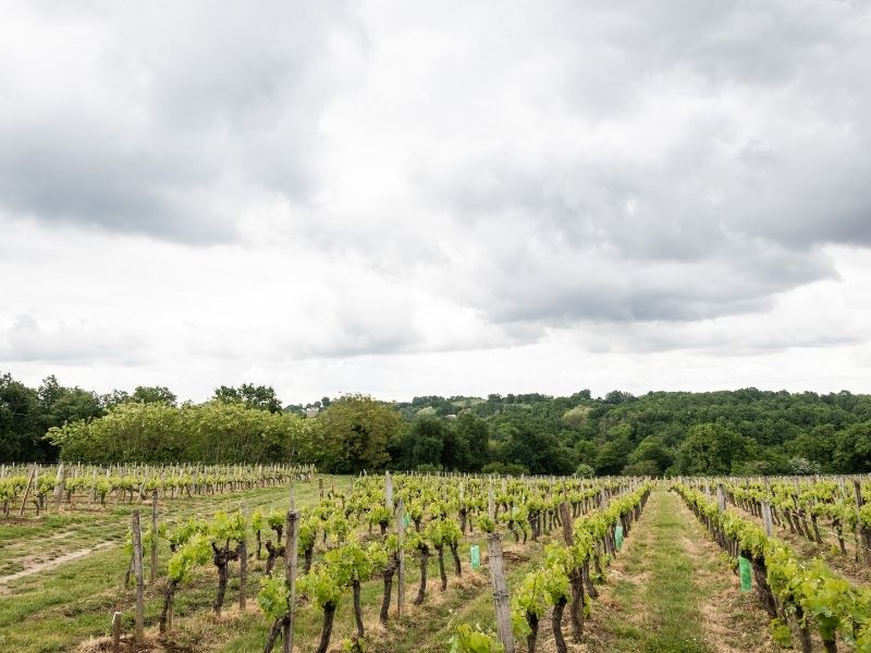 Boucle Saint Caprais-de-Bordeaux/ Quinsac/ Cambes - photo 3