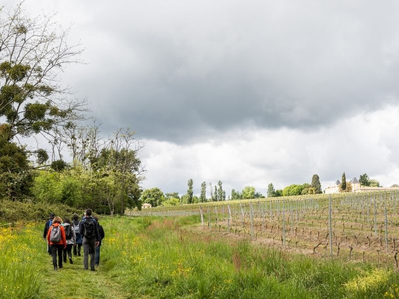 Boucle Saint Caprais-de-Bordeaux/ Quinsac/ Cambes