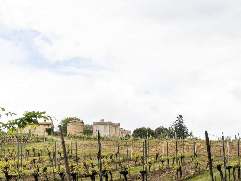 Boucle Saint Caprais-de-Bordeaux/ Quinsac/ Cambes, Saint-Caprais-de-Bordeaux - photo 3