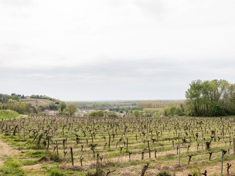 Boucle Tabanac/ Le Tourne