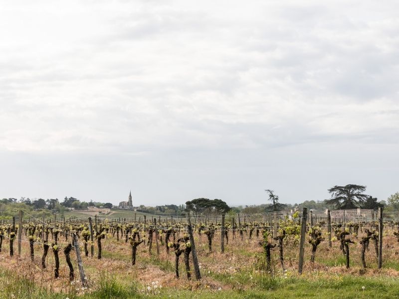 Boucle Tabanac/ Le Tourne - photo 5