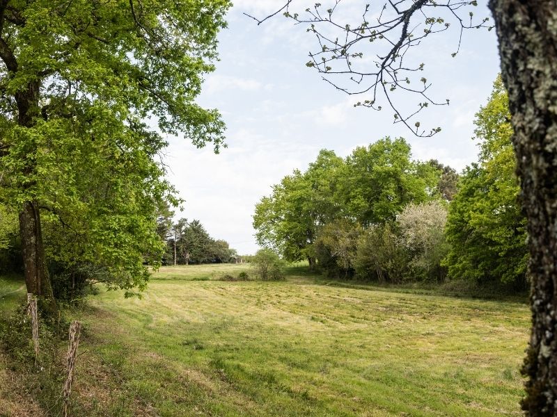 Boucle Tabanac/ Le Tourne - photo 3