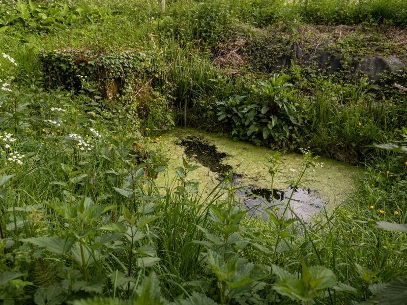 Boucle Tabanac/ Le Tourne, Tabanac - photo 9