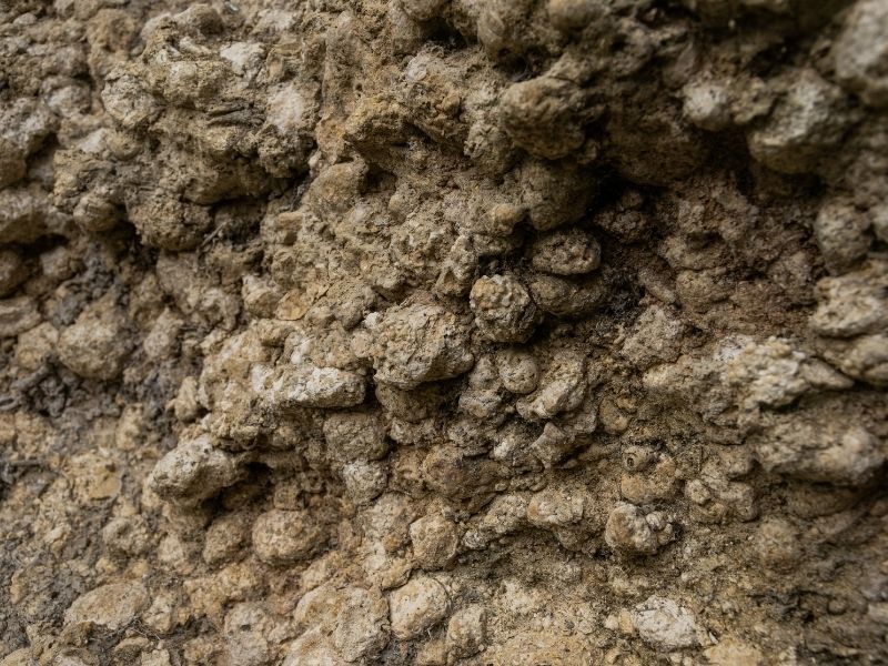 Boucle Tabanac/ Le Tourne, Tabanac - photo 10