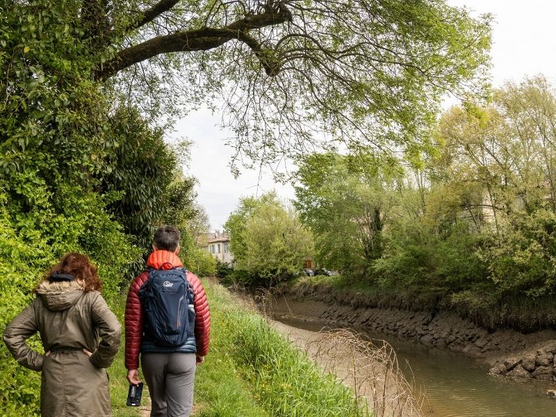 Boucle Langoiran/ Le Tourne - photo 3