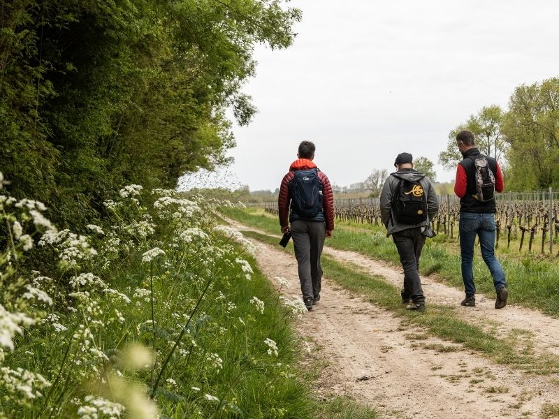 Boucle Tabanac/ Le Tourne, Tabanac - photo 12