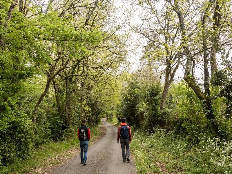 Boucle Tabanac/ Le Tourne, Tabanac - photo 15