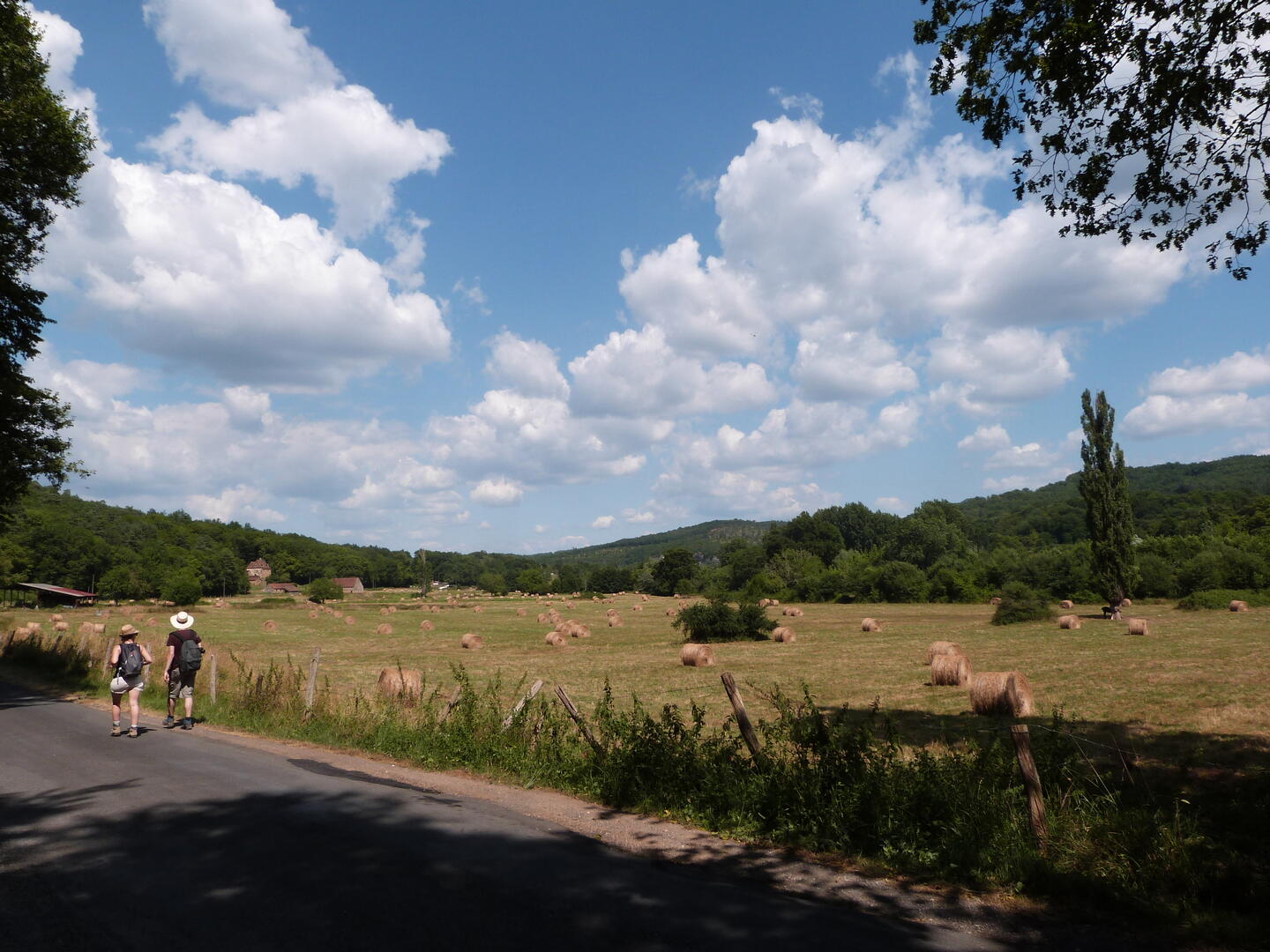 Boucle de Crabillac n° 19 / Tursac, Tursac