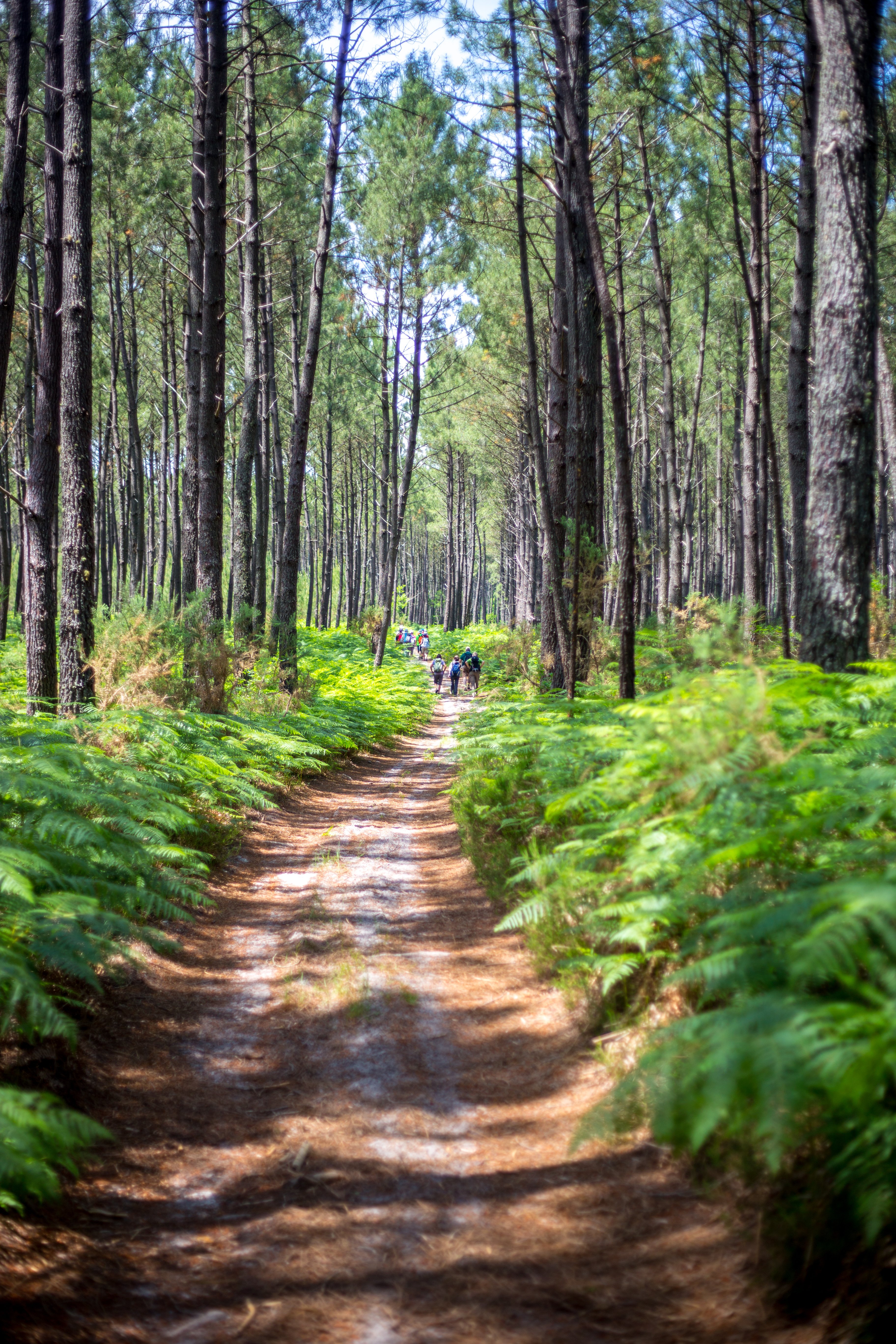Lugos : sur les traces du Vieux Lugo, Lugos - photo 6