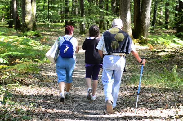 GRP® Nouaillé Maupertuis, Poitiers - photo 4