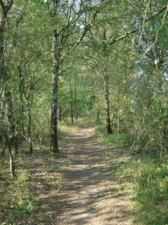 GRP® Nouaillé Maupertuis, Poitiers