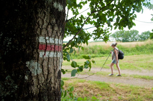 Sentier GR 655 - Lusignan / Saint-Sauvant, Lusignan - photo 4