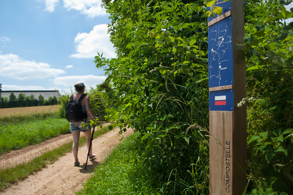 Sentier GR 655 - Lusignan / Saint-Sauvant, Lusignan - photo 2