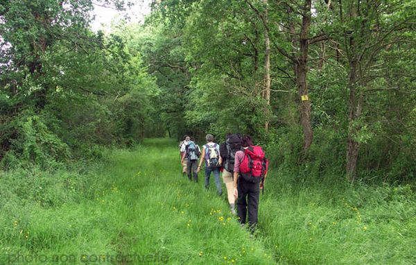 Sentier GR 48 : Montmorillon / Lussac-les-Châteaux, Montmorillon