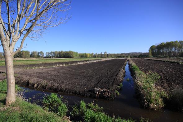 Sentier Les Marais de la Pallu_1
