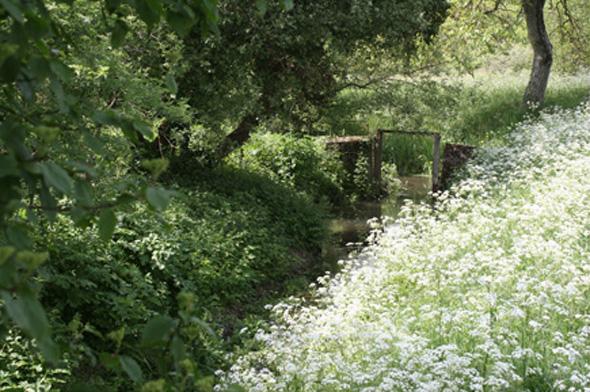 Sentier Les Marais de la Pallu_3