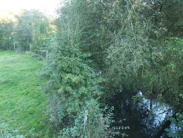 Sentier du Cornac et du Cibiou
