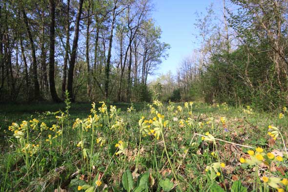 Sentier des côteaux, Saint-Martin-la-Pallu - photo 3