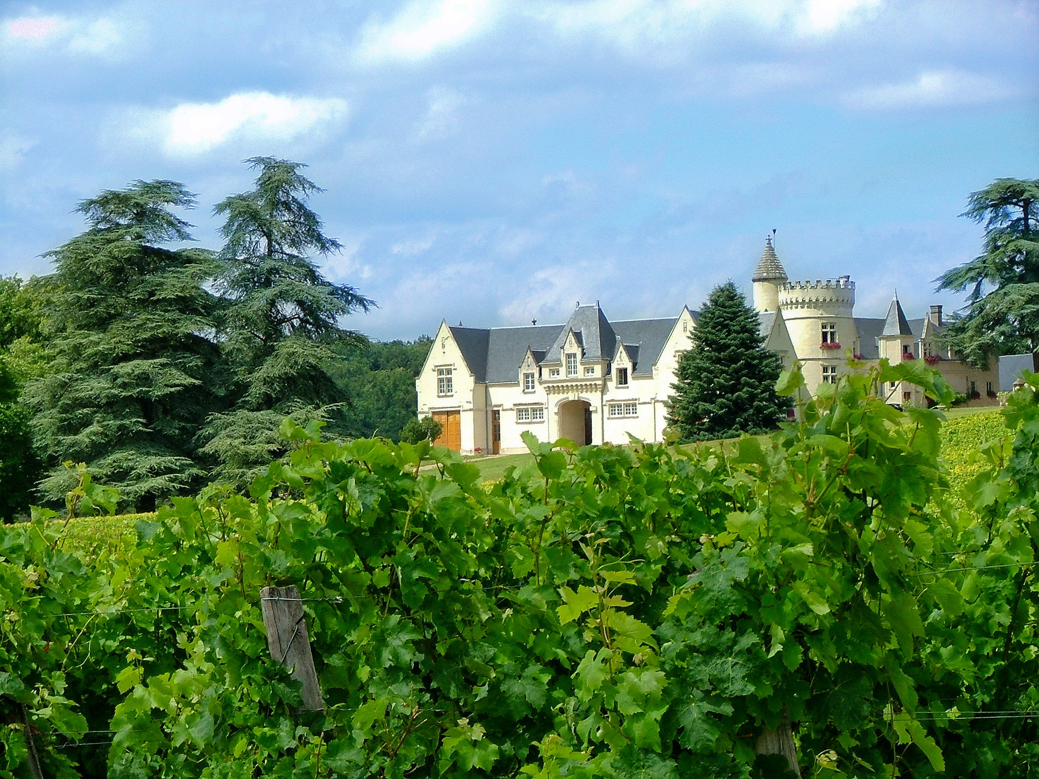 Le Sentier des Grands Chênes - photo 2