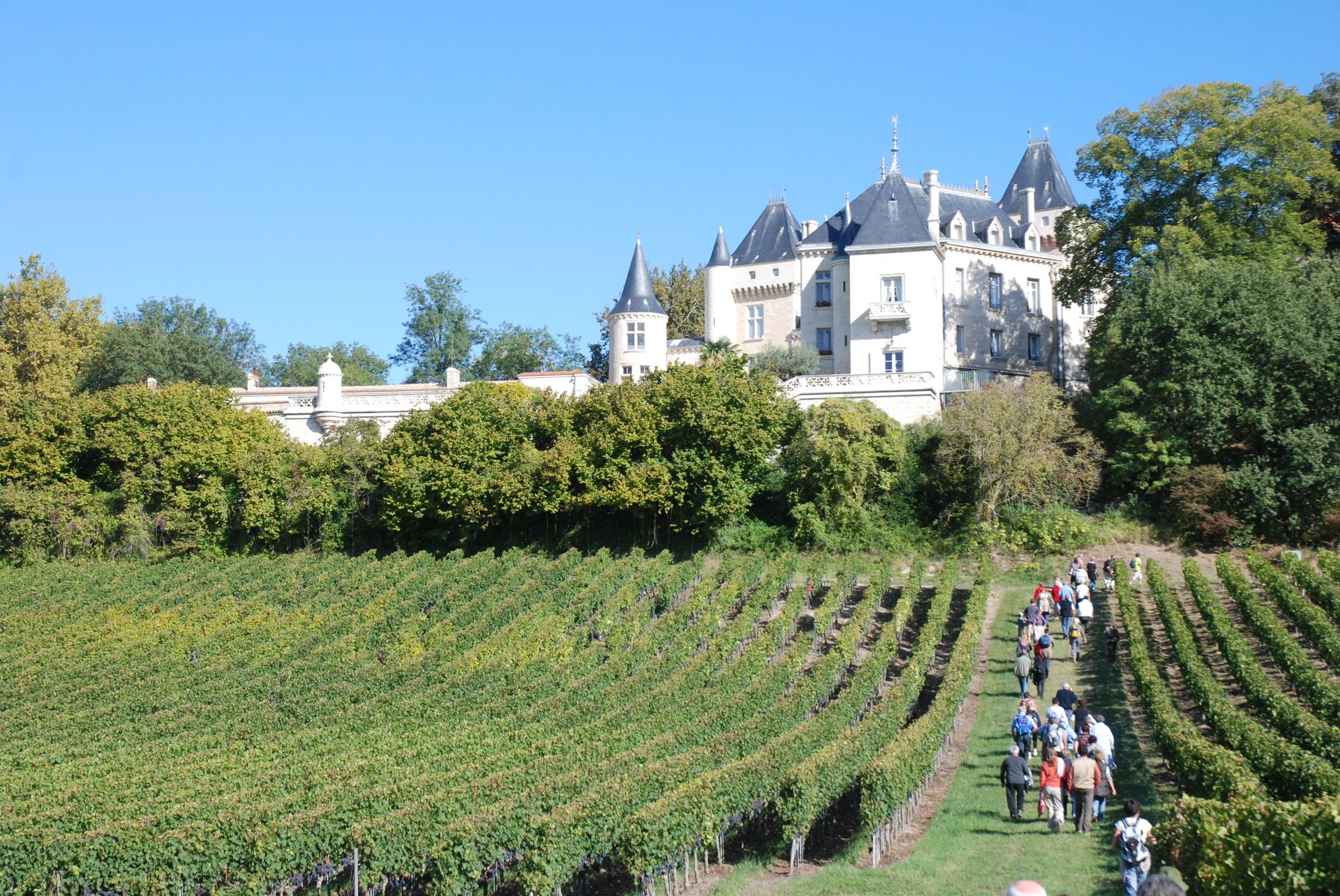 La Ronde des Vignobles en Fronsadais, Saint-Germain-de-la-Rivière