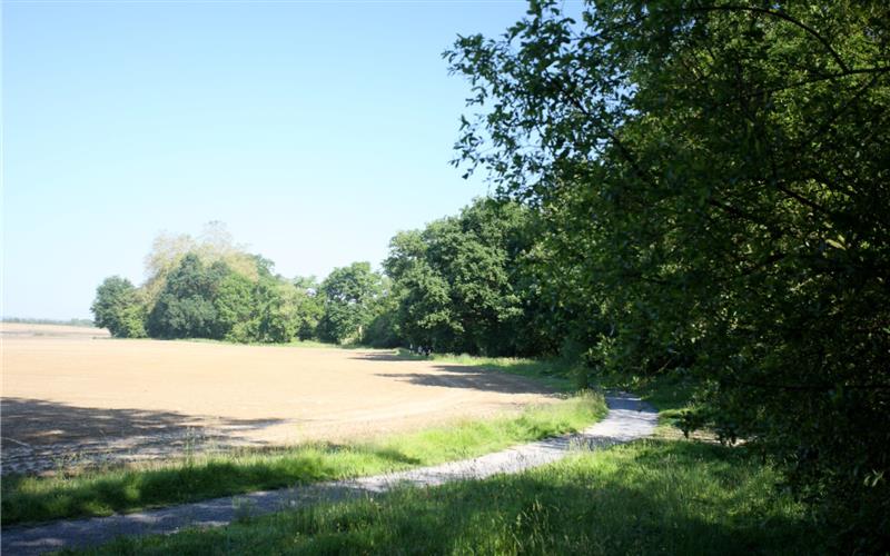 De Sauvagnon à la forêt de Bastard