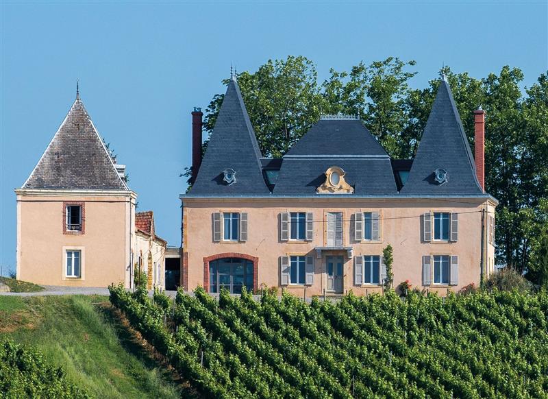 Aydie, au cœur du vignoble à VTT