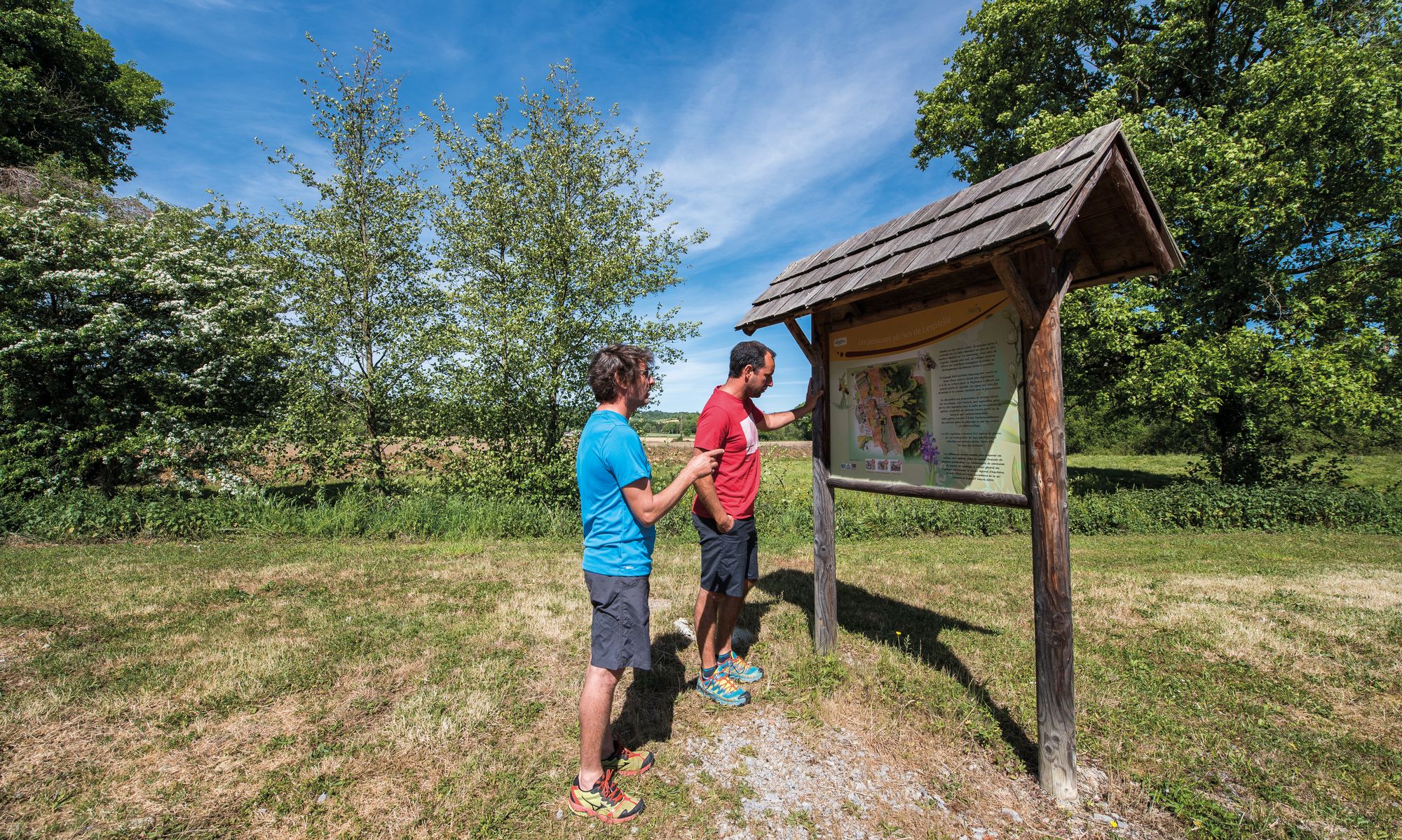 Pelouses sèches à orchidées du coteau de Lembeye - photo 2