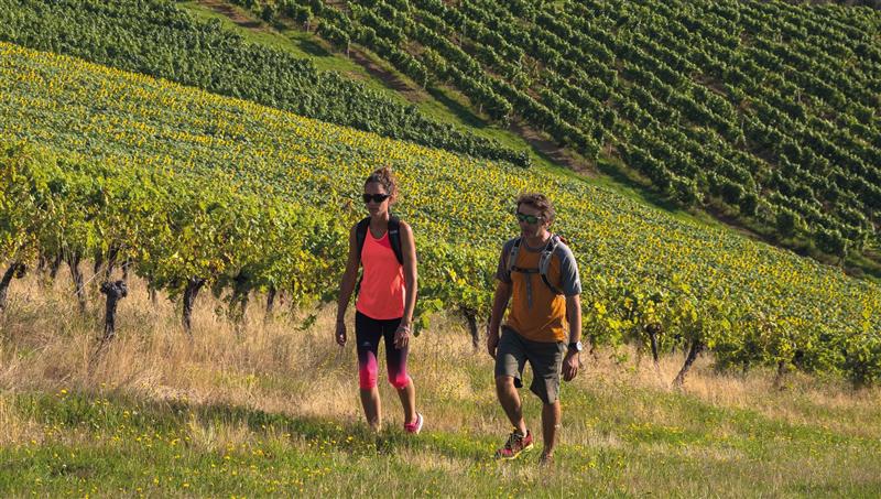 Crouseilles : entre vignes et château