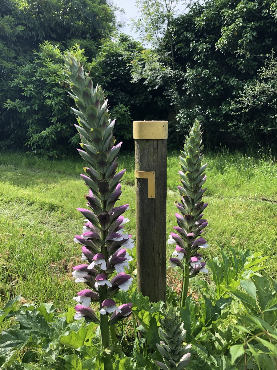 Boucle de la Guirandolle à Eygurande, Eygurande-et-Gardedeuil