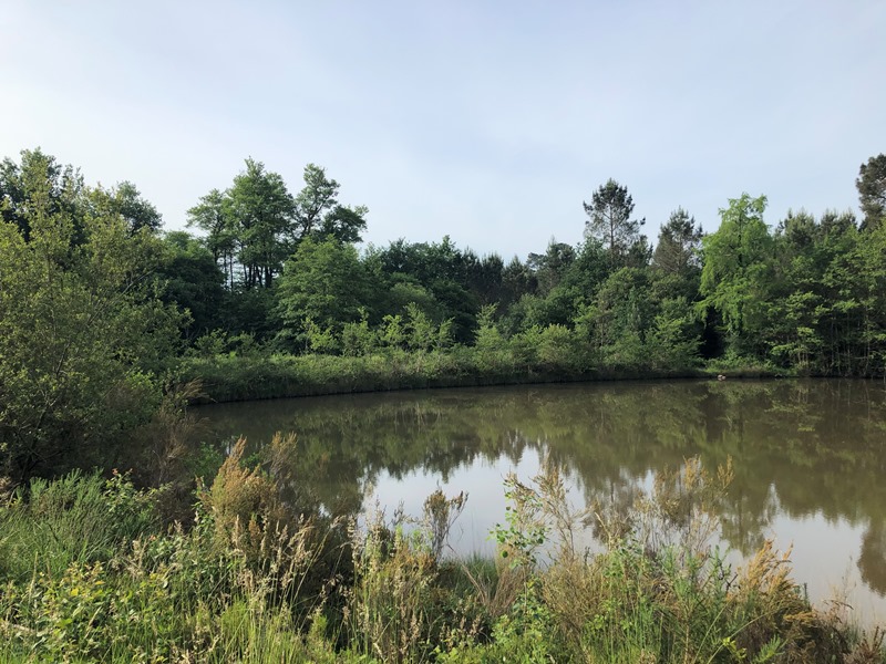 Boucle de la Guirandolle à Eygurande, Eygurande-et-Gardedeuil - photo 2