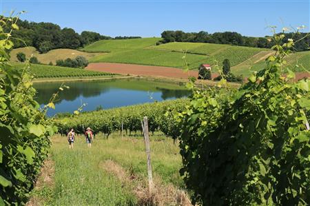 Aydie, au cœur du vignoble Aydie, au cœur du vignoble