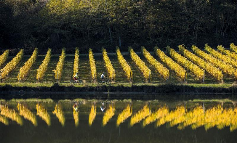 Aydie, au cœur du vignoble à VTT