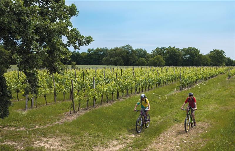 Aydie, au cœur du vignoble à VTT