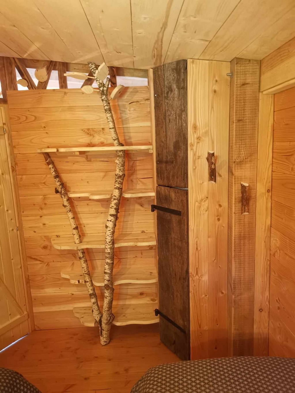 L'Eveil de la Forêt - gîte Nature, Sarran - photo 11