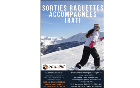 Sorties raquettes accompagnées