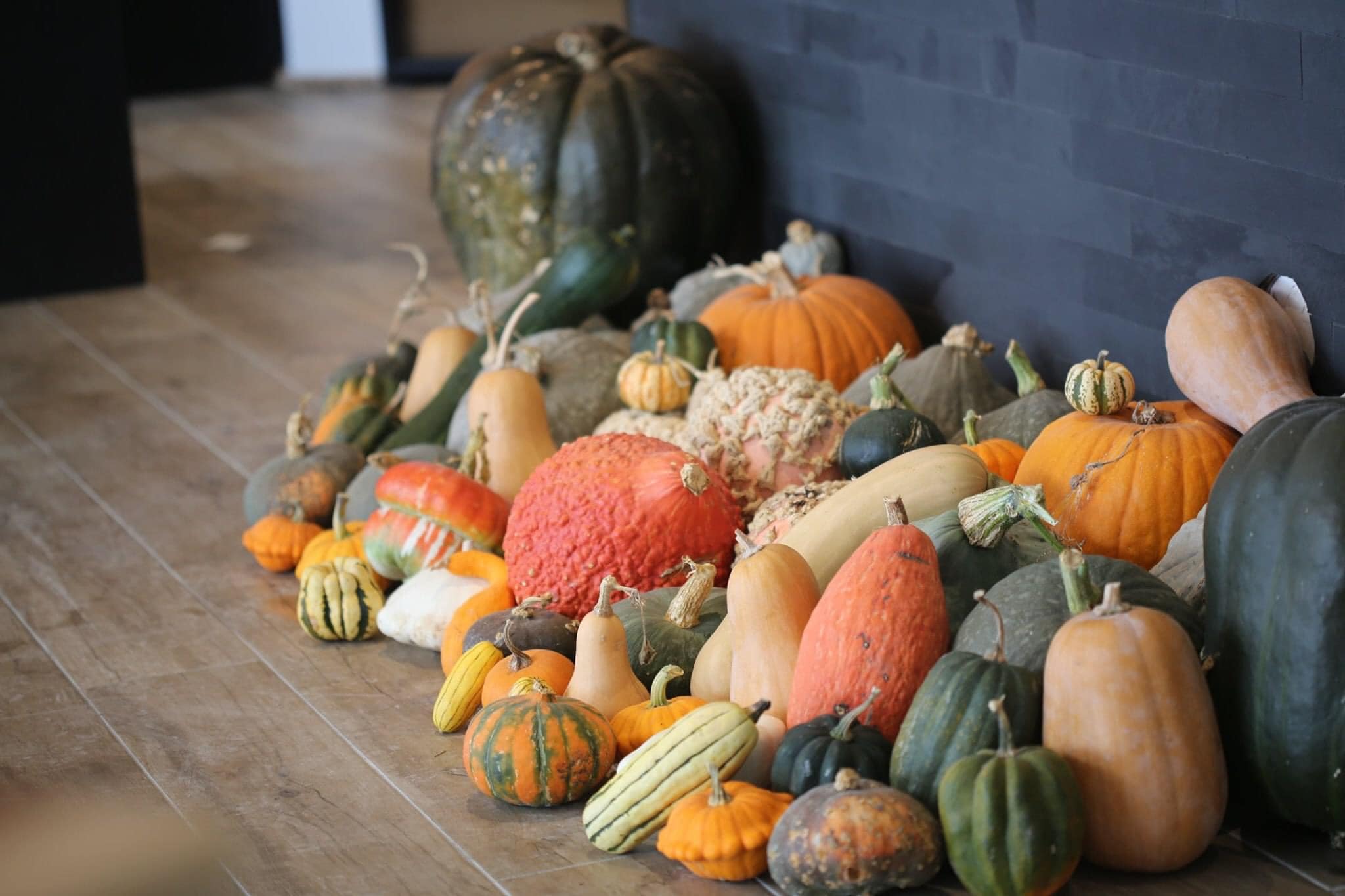 Le Musée du fruit, Cagnotte - photo 3