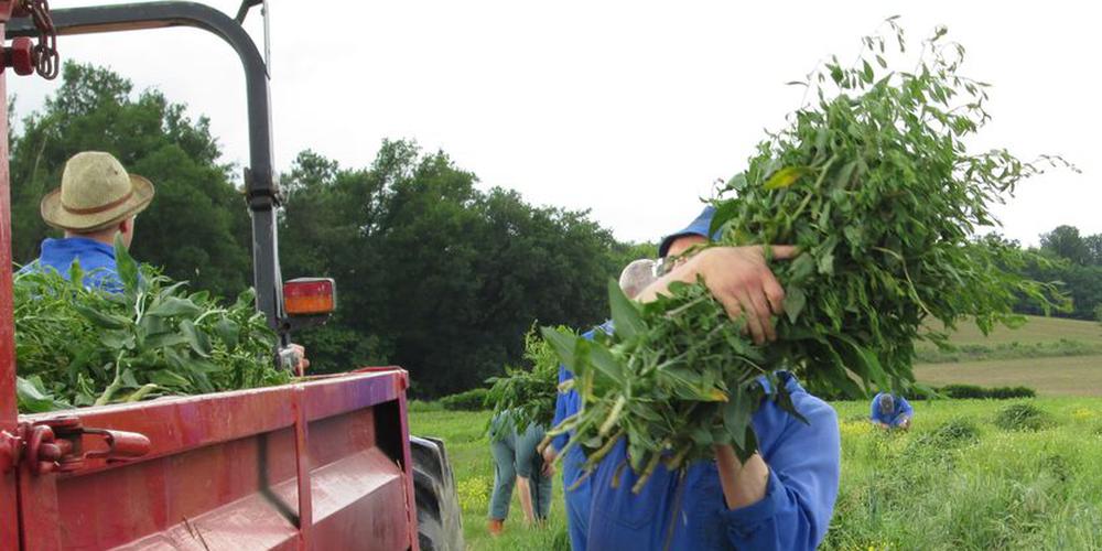 Tèrra Aventura: parcours mystère avec objet La forme, ça se cultive !