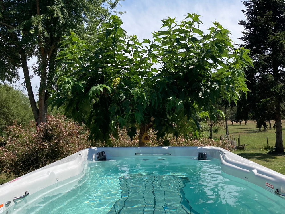 Laguillotte, Seignosse - photo 12