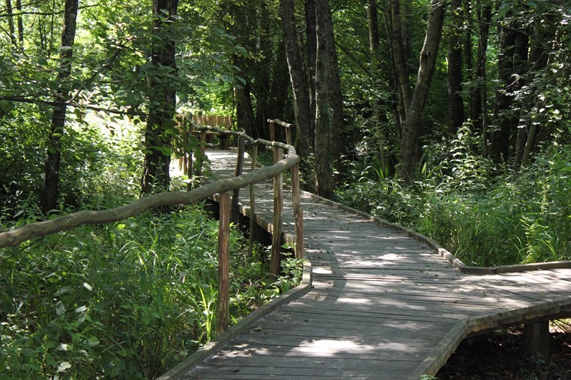 Le Sentier La Reine des Prés - photo 2