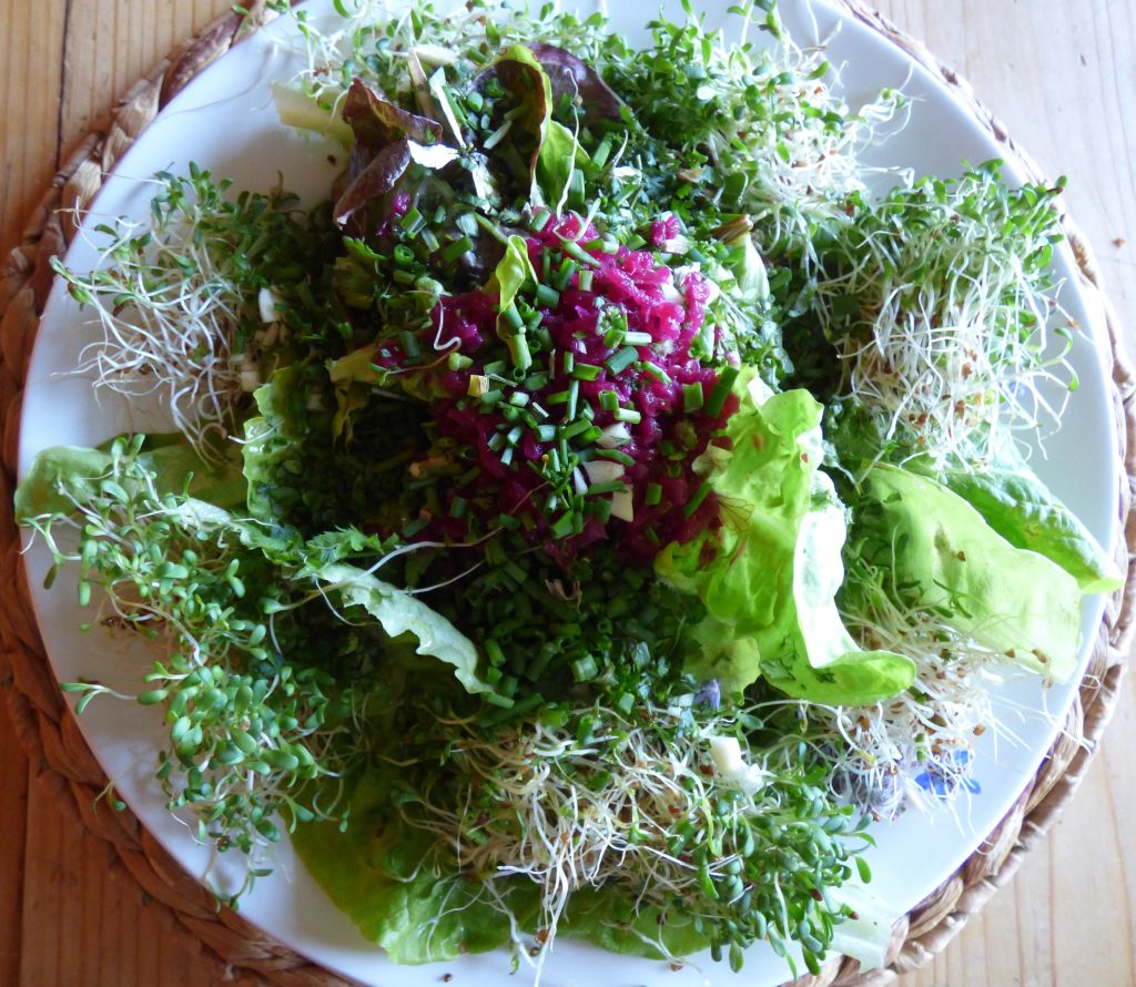 Chambre d'hôtes " Le Shamballa ", Le Monteil-au-Vicomte