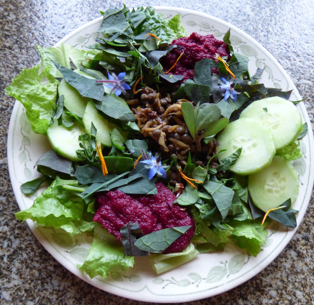 Chambre d'hôtes " Le Shamballa ", Le Monteil-au-Vicomte - photo 22