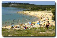 Maison de site d'Arjuzanx, Morcenx-la-Nouvelle - photo 19