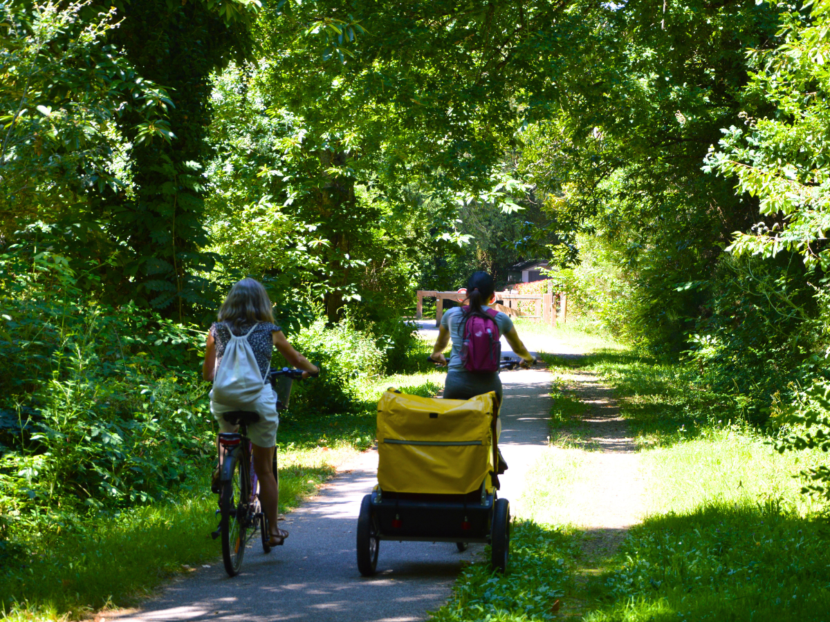 Tèrra Aventura : Adhémar, sur les chapeaux de roues - photo 2