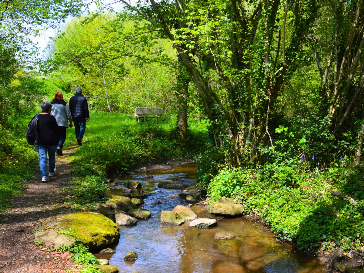Un dimanche à Dournazac - Marché de printemps et vide-greniers — visuel événement