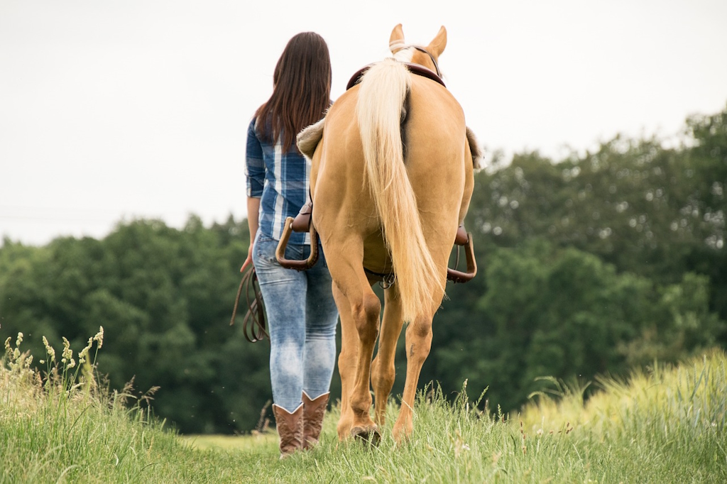 Soa'na - cours, travail du cheval, balades et randonnées
