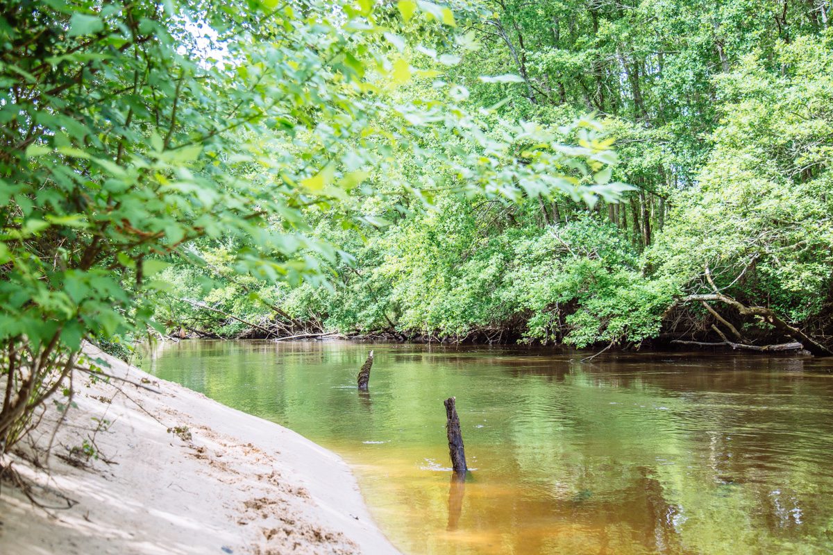 Les secrets de la petite Amazone - photo 4