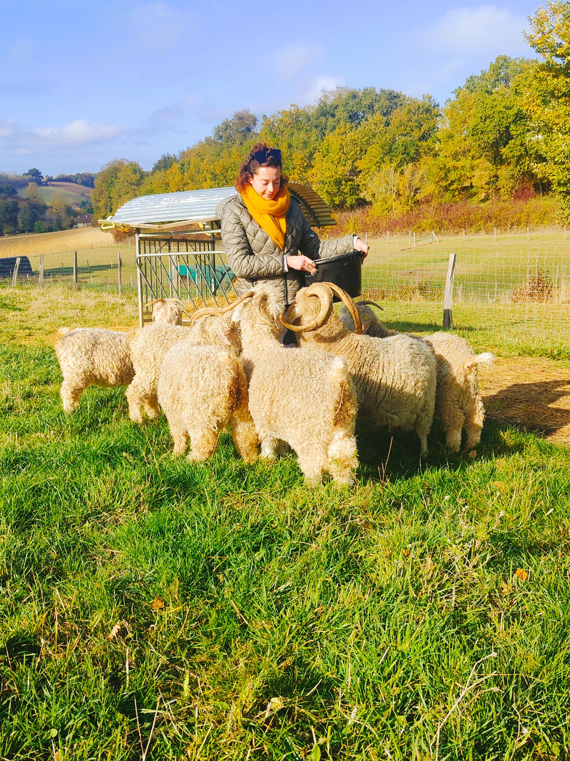 Domaine Roccas, Port-Sainte-Marie - photo 3