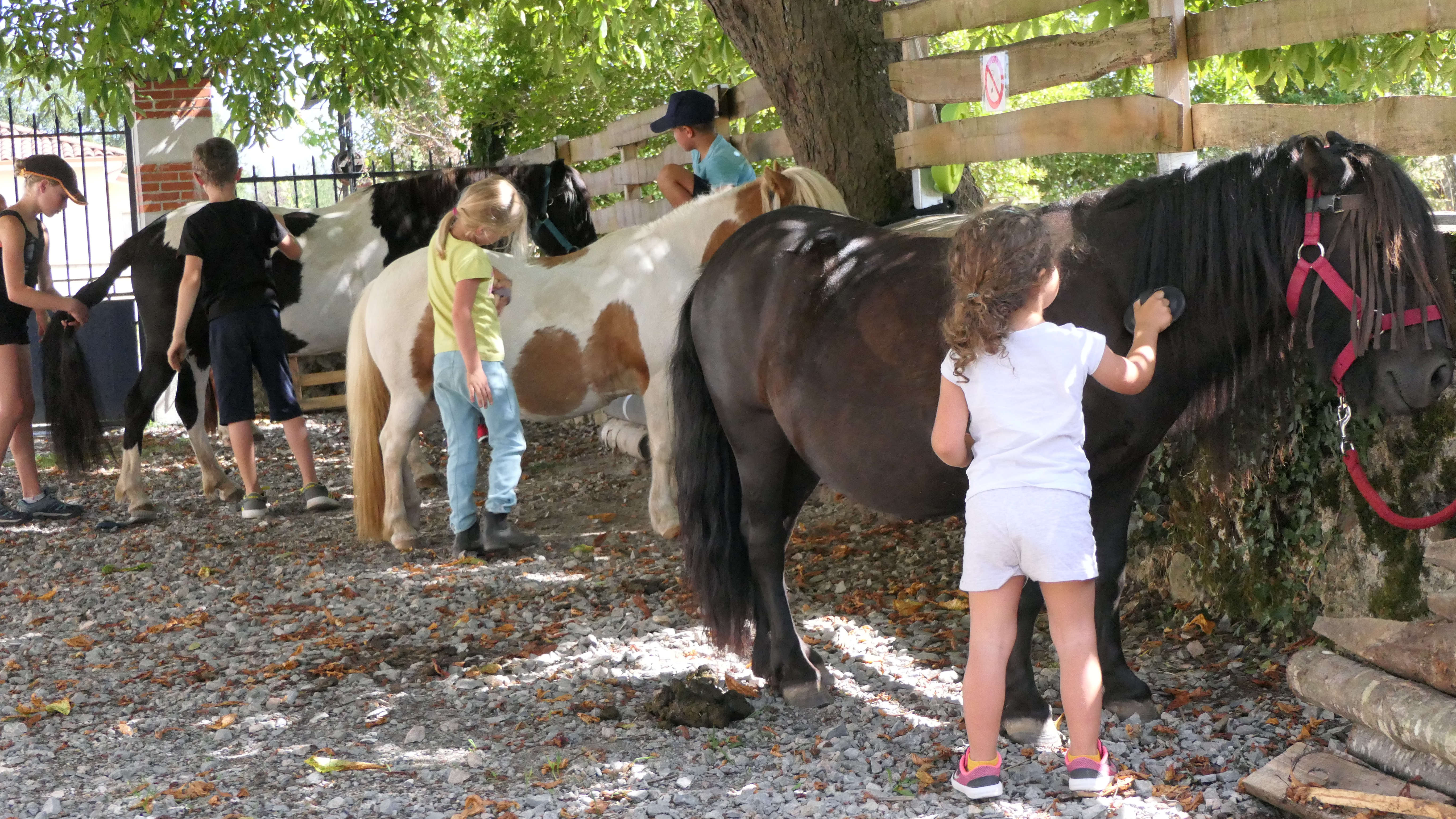 Ferme pédagogique de la Terr'Happy