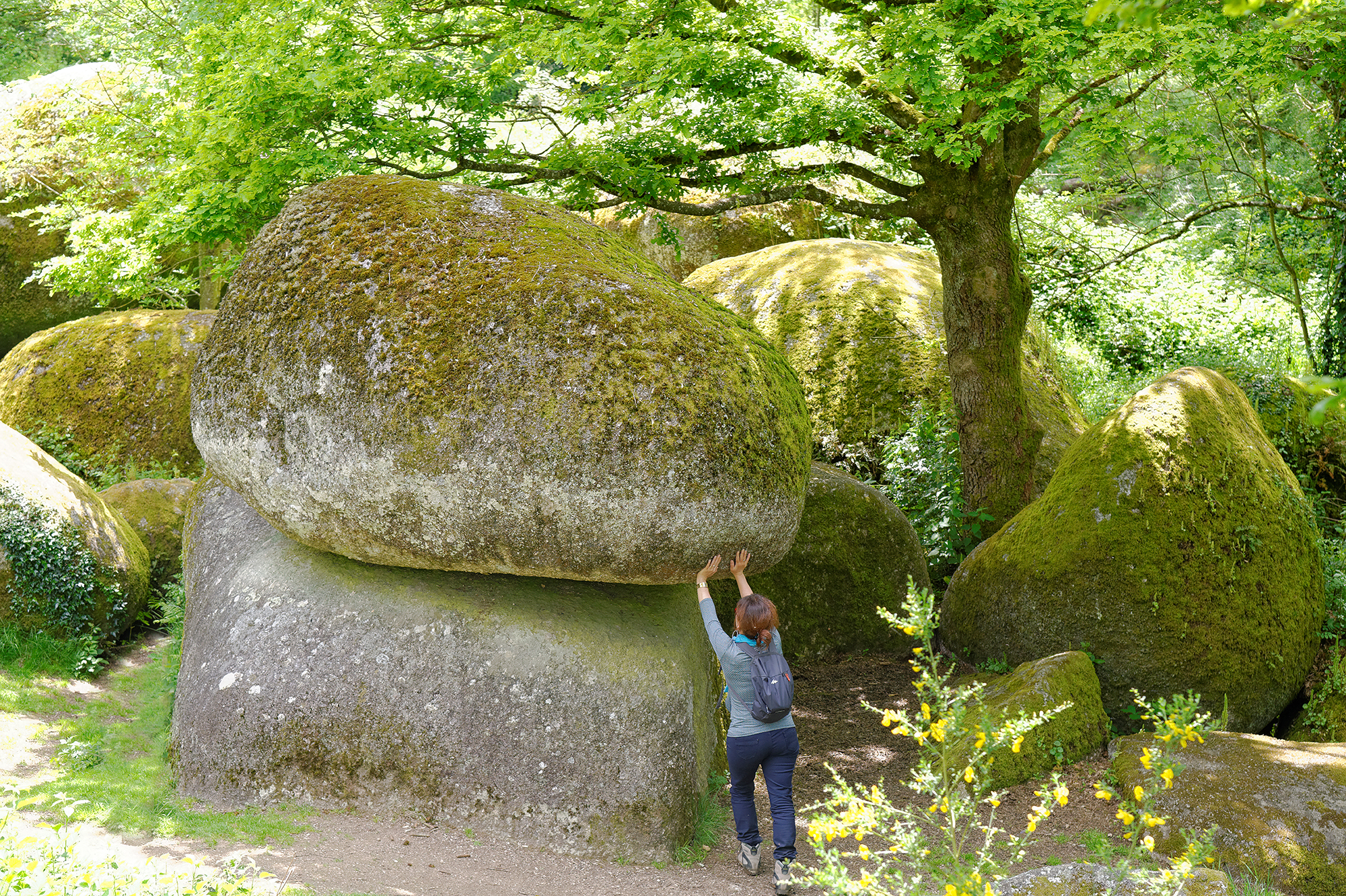 Géocaching Tèrra Aventura "L'éveil des chirons" : chasse au trésor à Largeasse